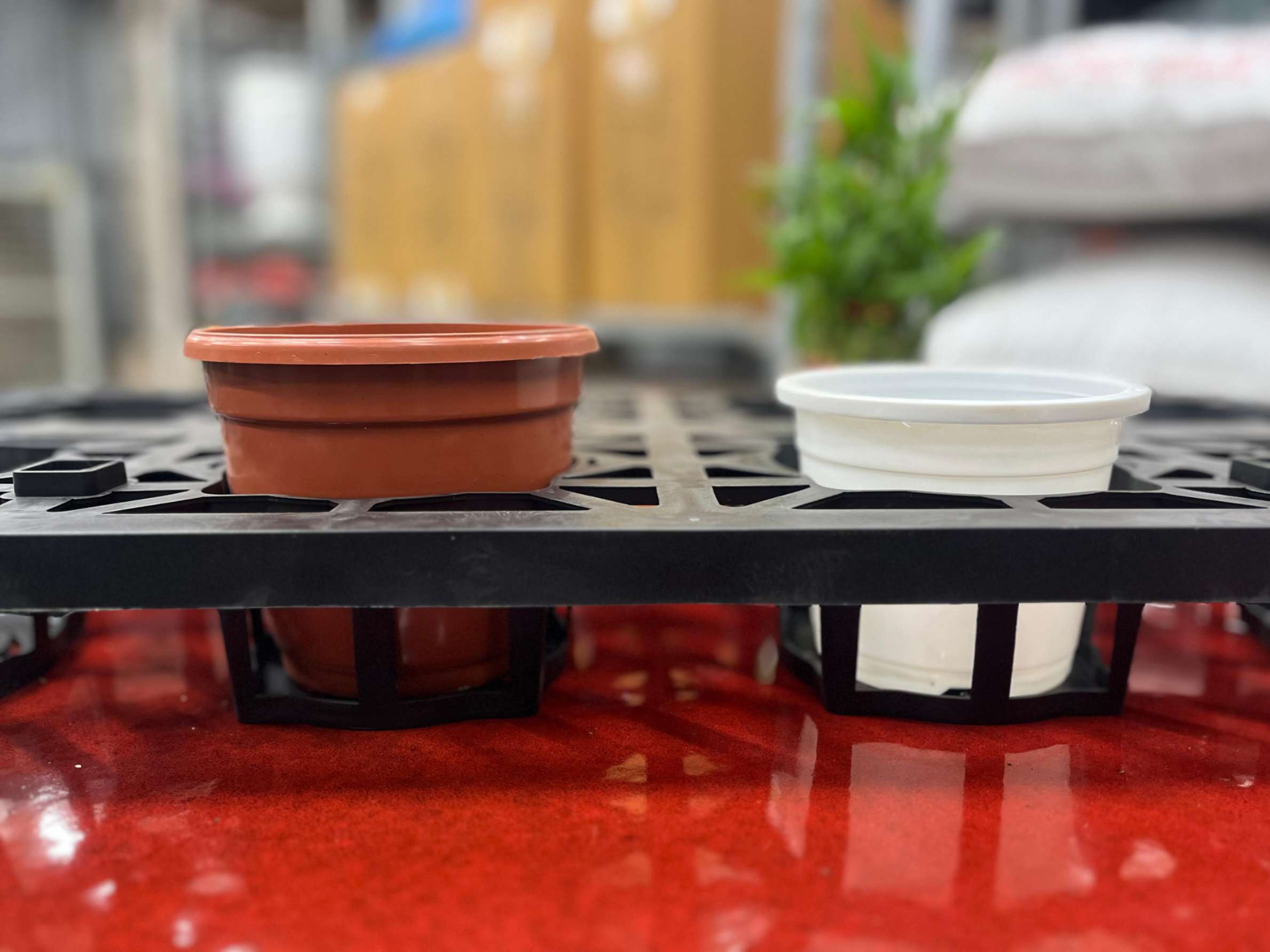 Pot Holding And Growing Tray 8 Cavity (12 cm Round/Square)