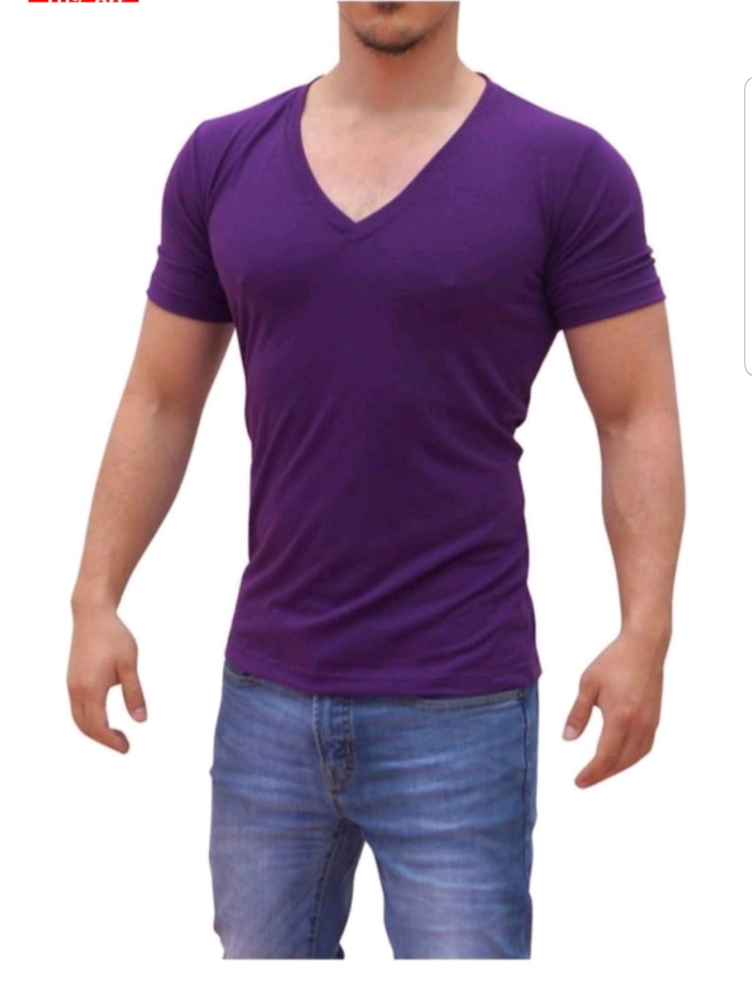 POLERA BASICA CARVEN