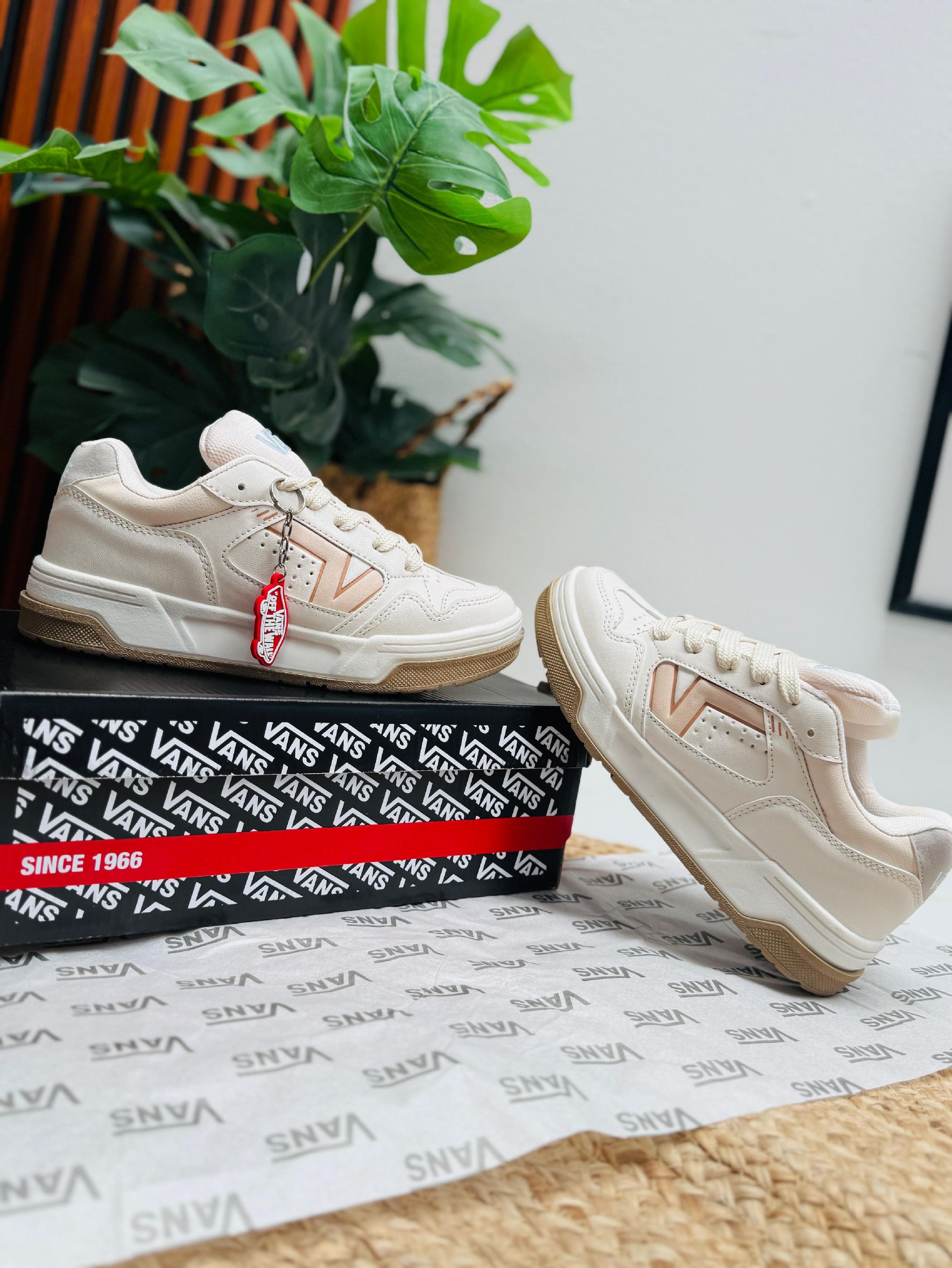 VANZ OLD | Farola Vázquez
