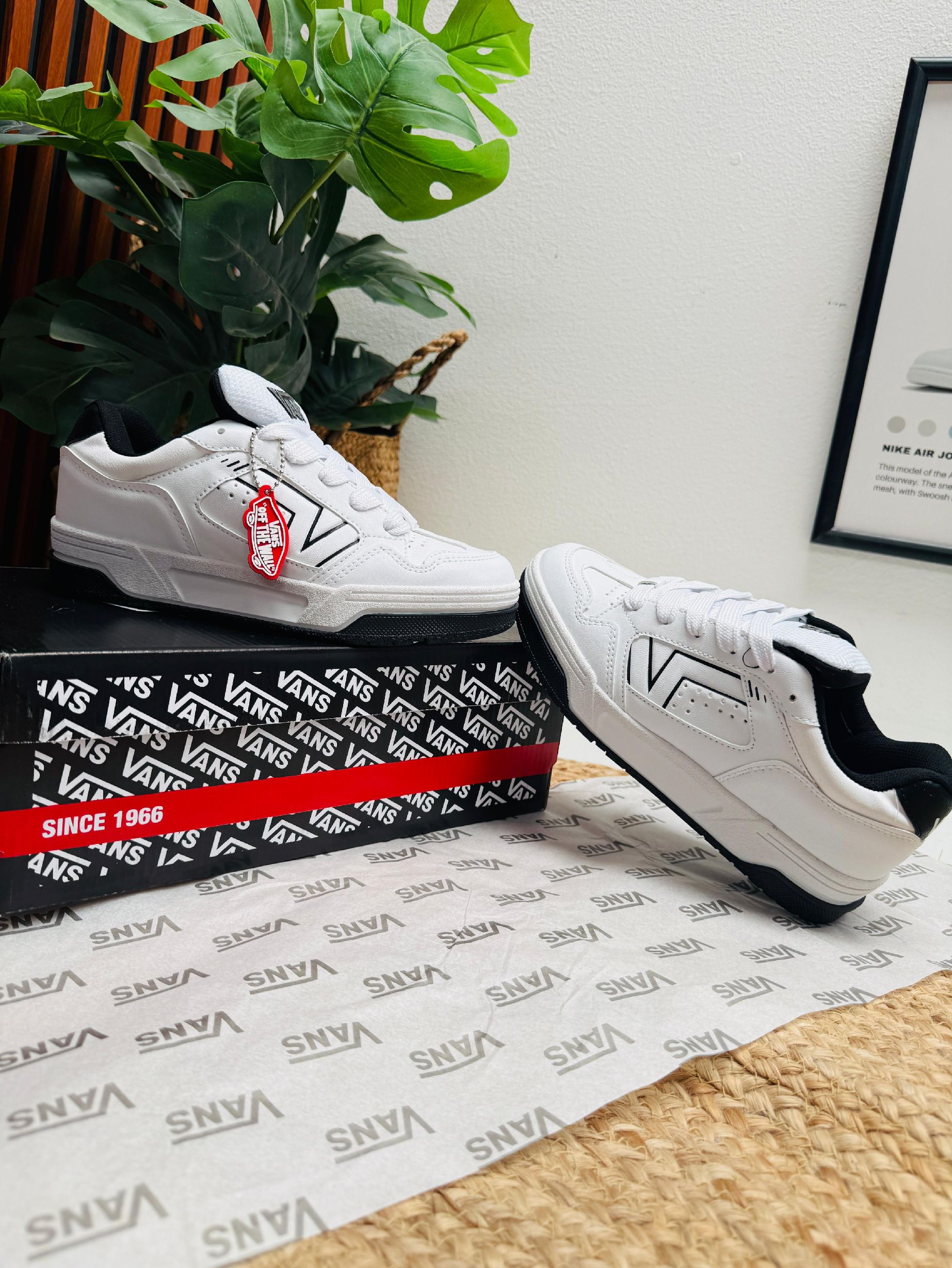 VANZ OLD | Farola Vázquez