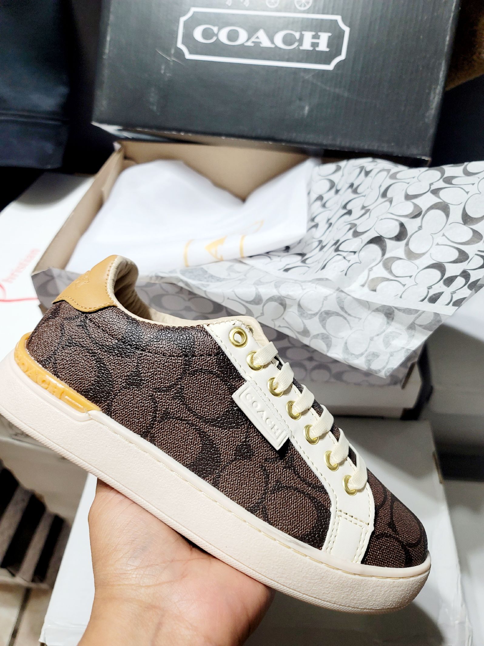 Zapatilla Deportiva Tenis Coach Plataforma Mujer Tenis Coach Mujer