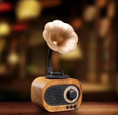 Bluetooth speaker (8)