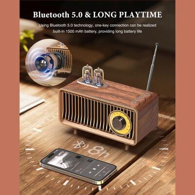 Bluetooth speaker (26)