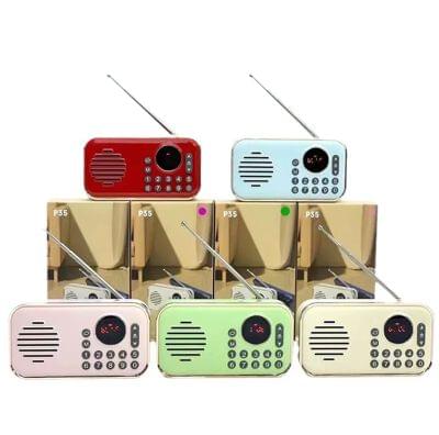 Bluetooth speaker (21)