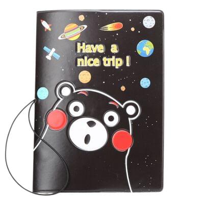 Passport case (9)