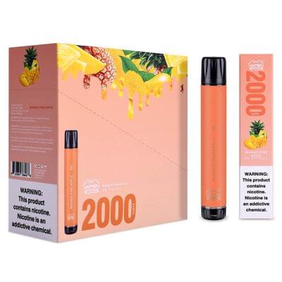 2 piece disposable vape Foger Switch Pro Kit