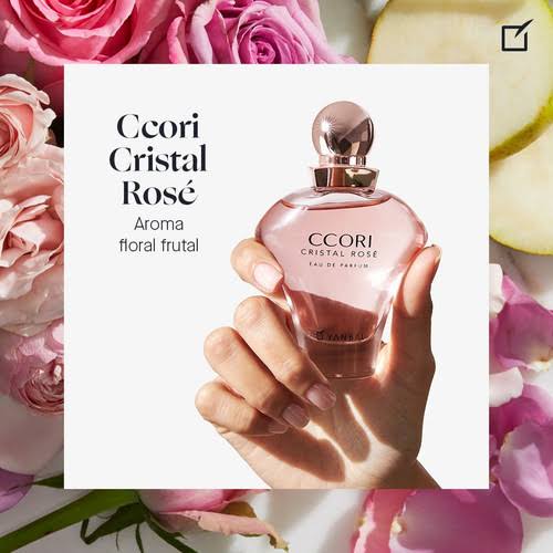 COLONIA XISS AGUIBRA IMPORTACIONES