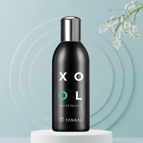 COLONIA XISS AGUIBRA IMPORTACIONES