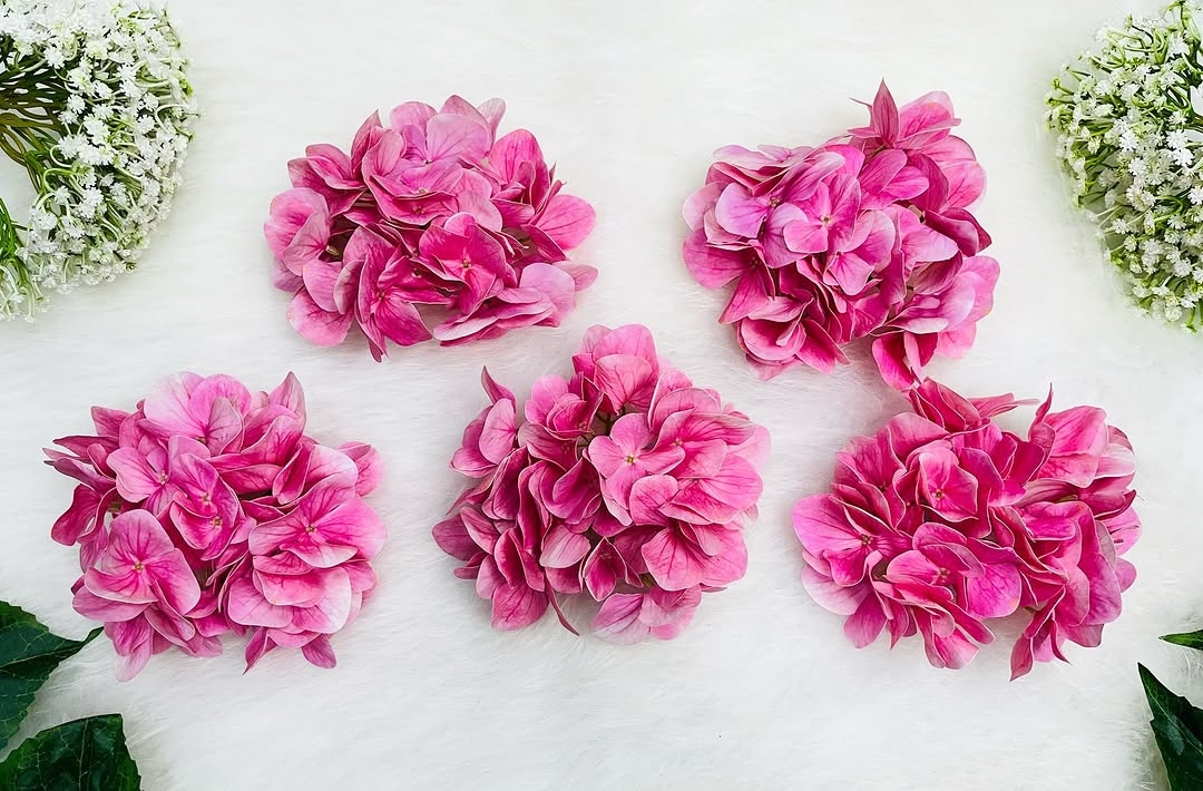 27 Petals Pink Rubber Hydrangea Flower Head Garg Novelties