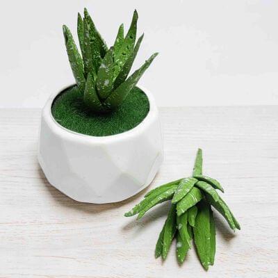 Bonsai/Flower Pot(B2B) | Garg Novelties
