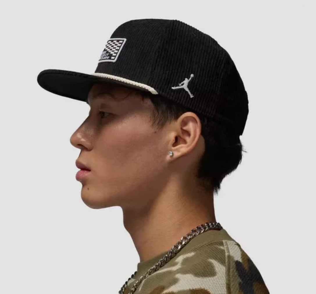 jordan pro aj11 vault