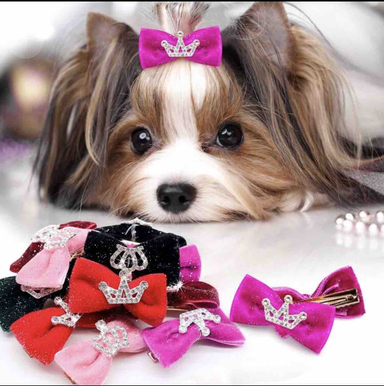 Pinza para mono de mascota Ñoñitos Pet's Shop