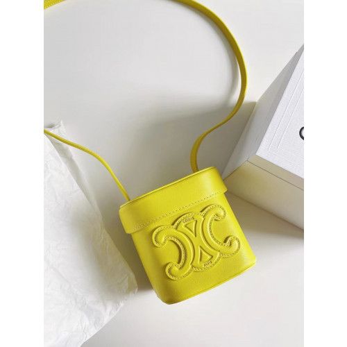 celine cuir triomphe box