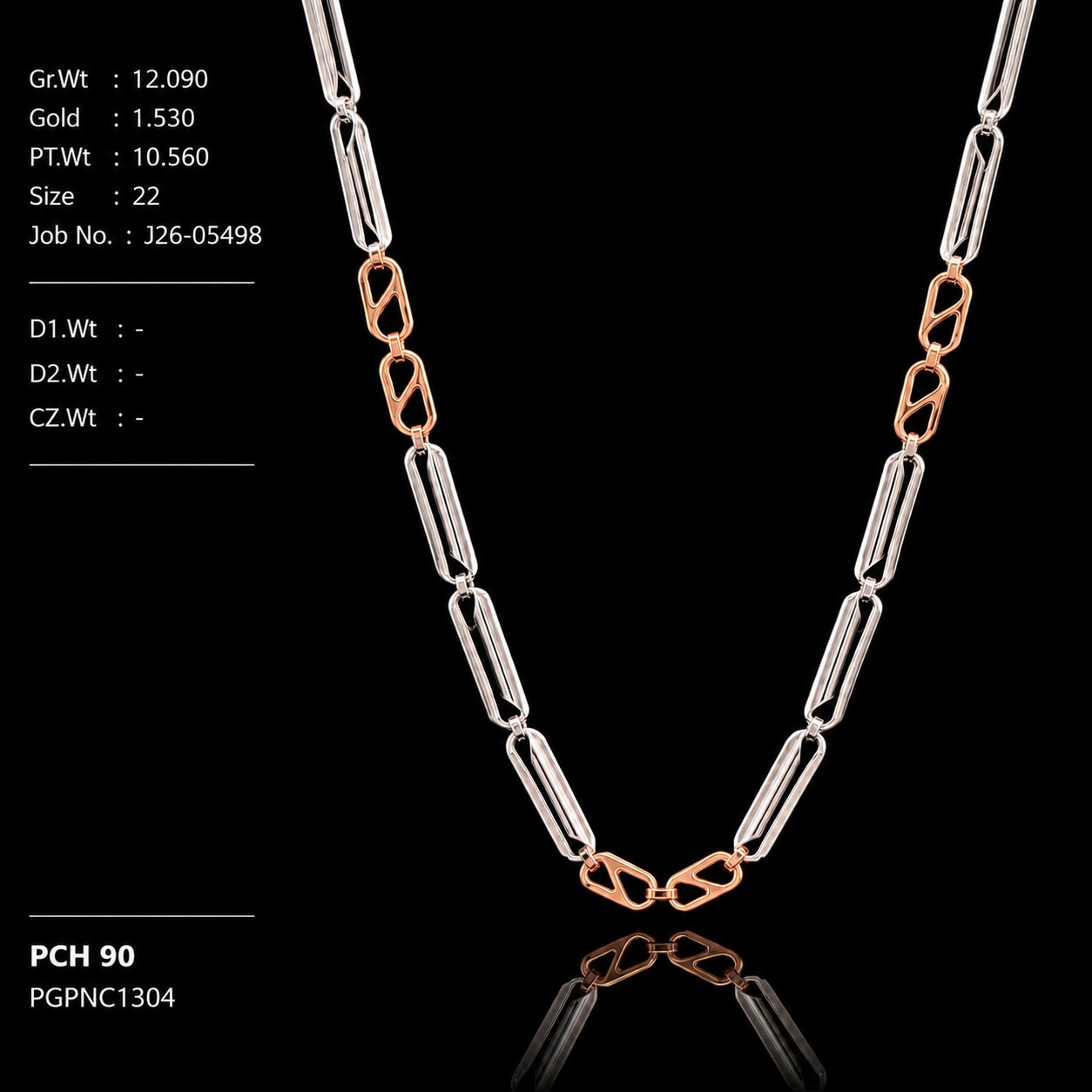PGPNC1304