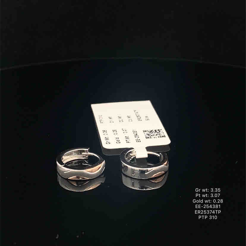 ee-254381