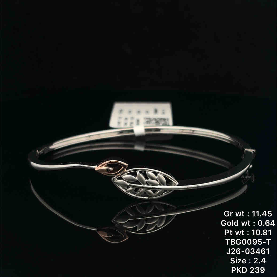 tbg0095-t