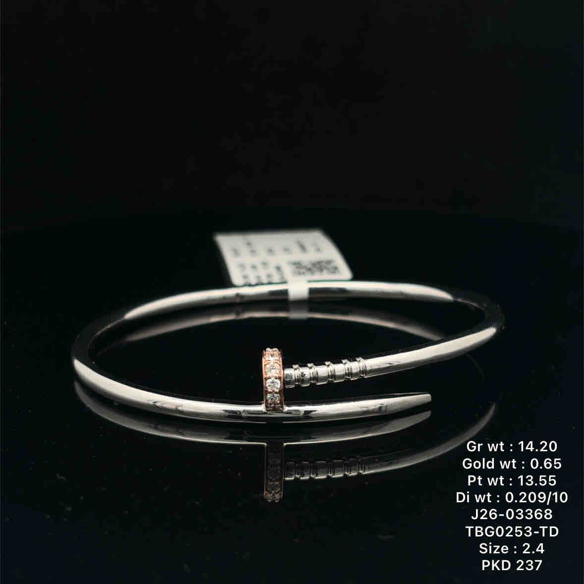 tbg0253-td-1