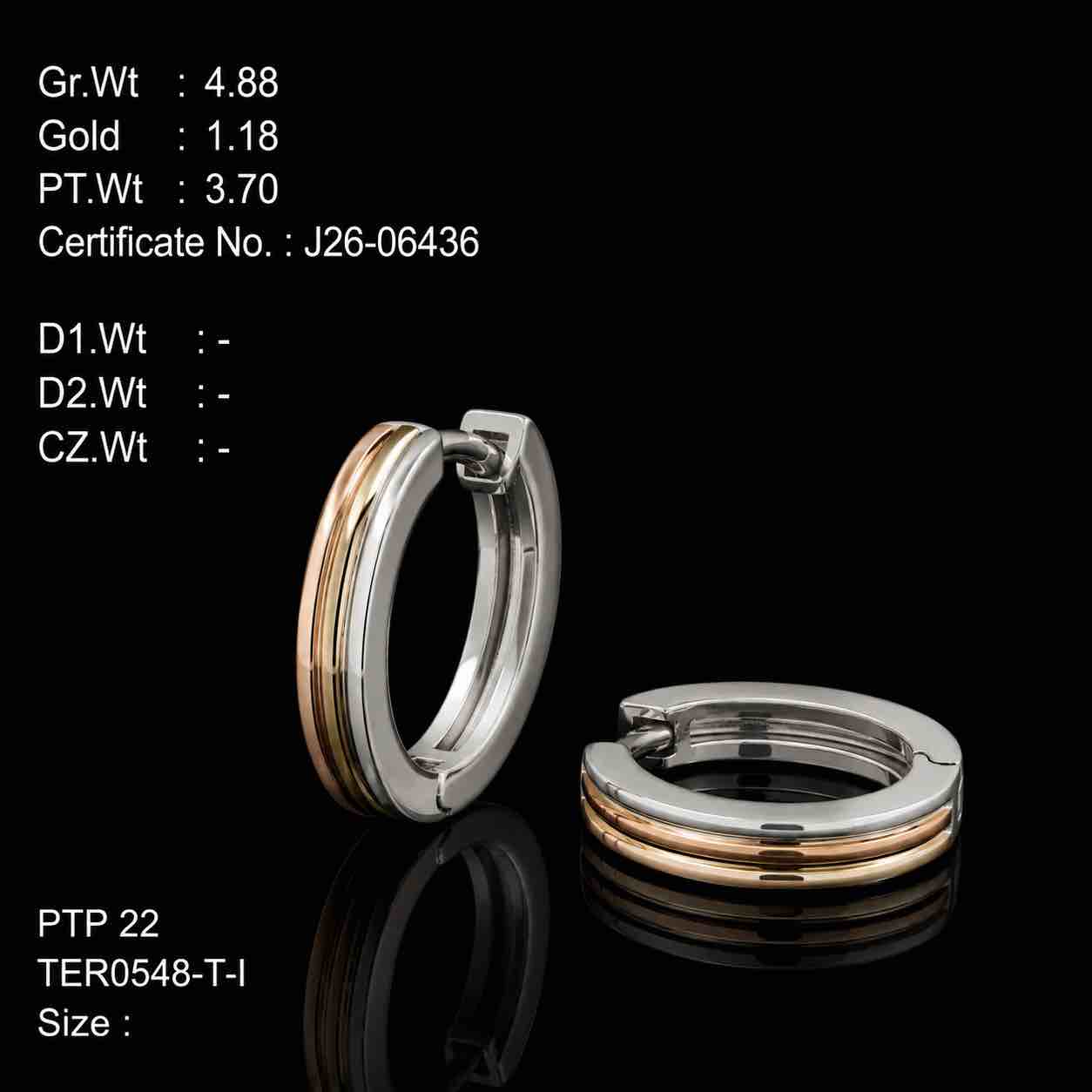 TER0548-T-I