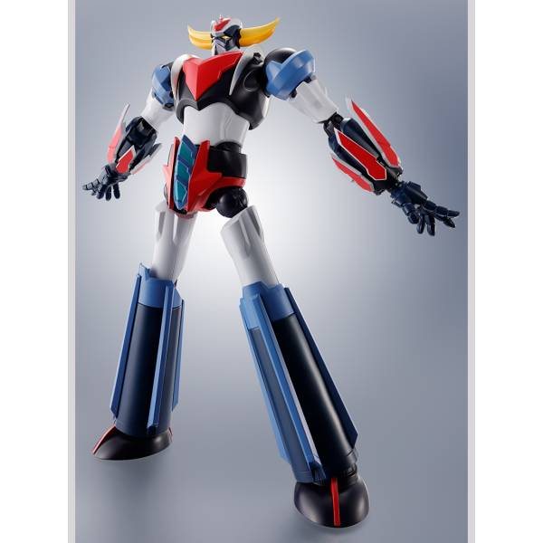GOOD Toys 1/12 DG002 Spider Series Wandering Warrior