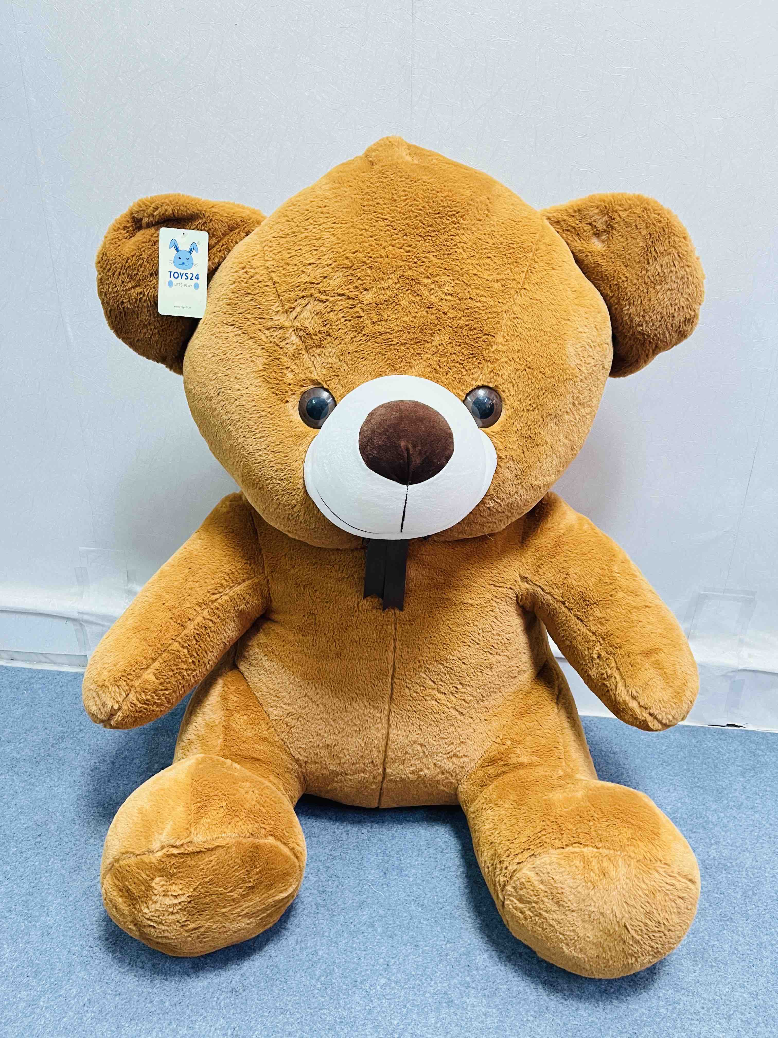 Zik Zak bear 25CM | TOYS24 ( wholesale only )